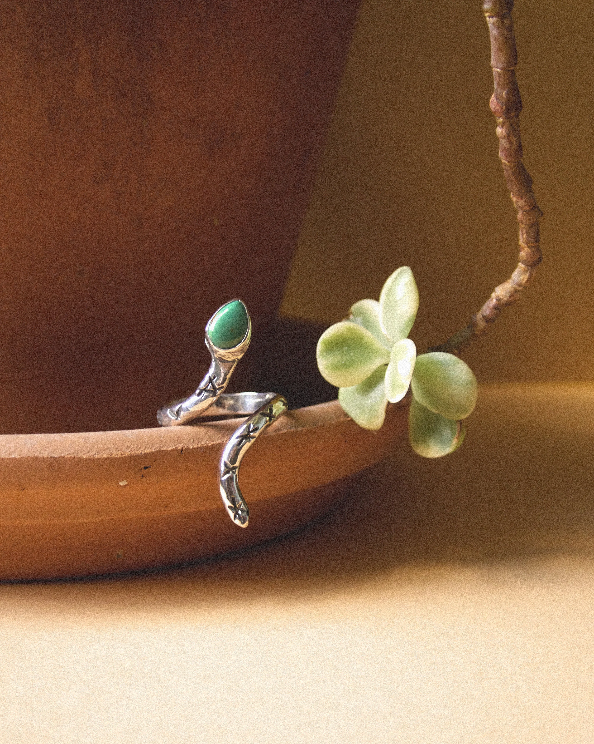 TurquoiseSnake.jpg