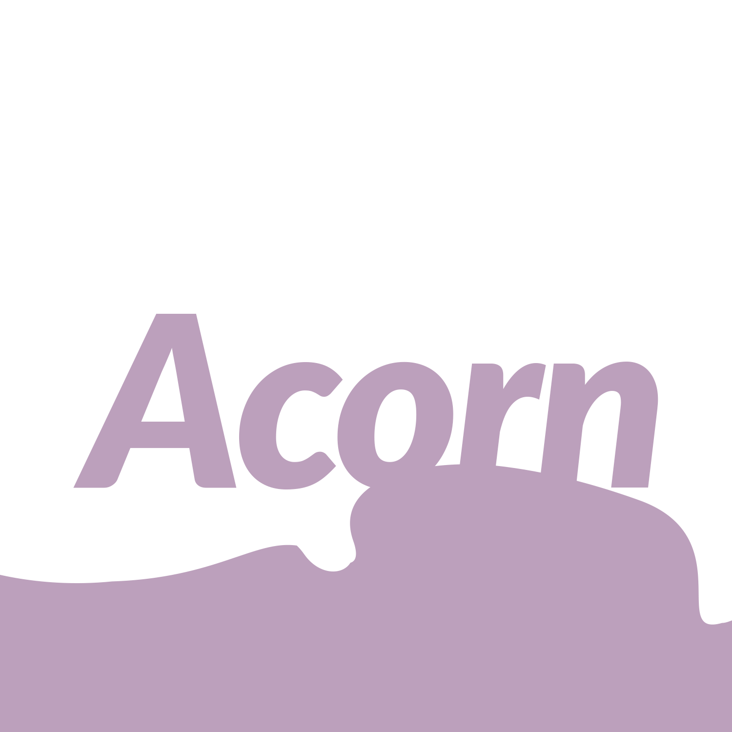 Acorn &amp; Airplay Concert