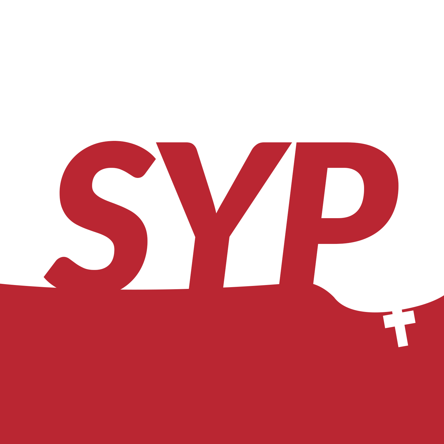 Pulse8 &amp; SYP Concert