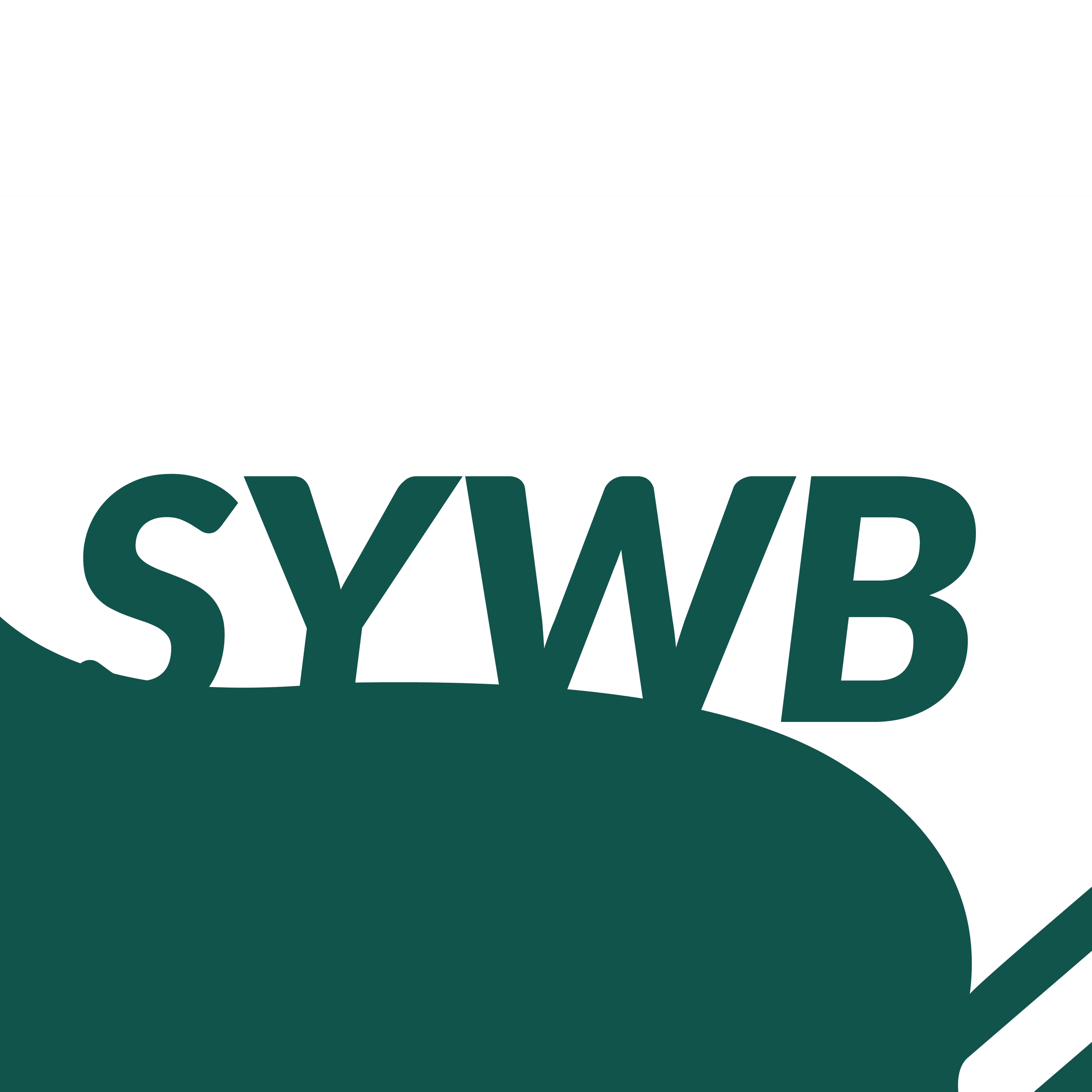 Southampton Youth Wind Band &amp; Royal Marines Joint Workshop and Performance