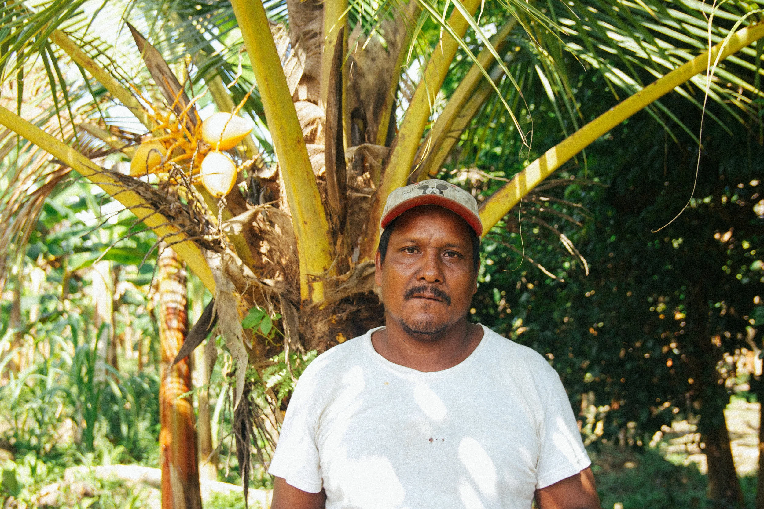 Meet Eustaquio: a Farmer Fighting for His Land // Colombia | Why knowing where your food comes from is important | The Foraged Life