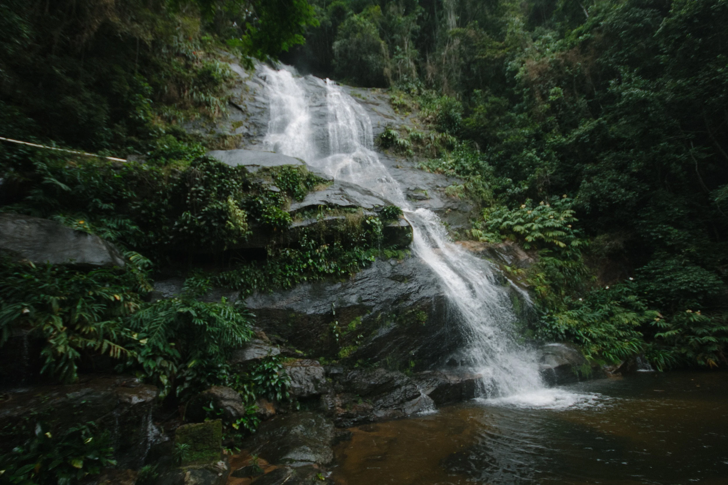 Tijuca Forest | An eco-friendly guide to Rio de Janeiro, Brazil | Eco-friendly travel by The Foraged Life