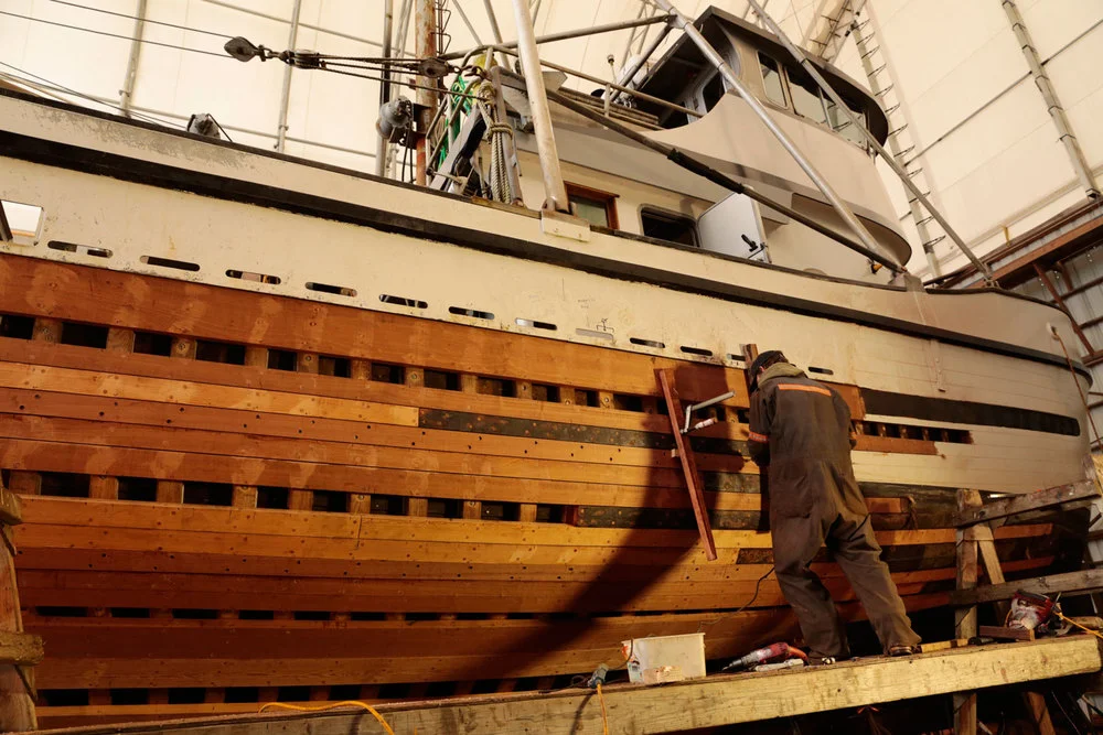 Replanking+replacing+planks+on+wood+fishing+boat+FV+Siren+Petersburg+Wrangell+boatyard+shipyard+marine+service+center+seiner+longliner+troller.jpg
