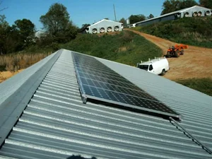 solar_poultry02.jpg