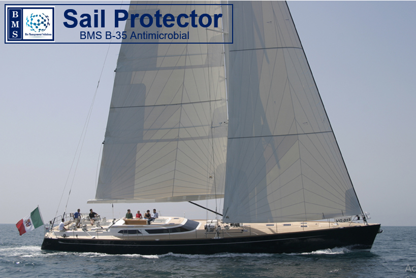 bms+sail.png