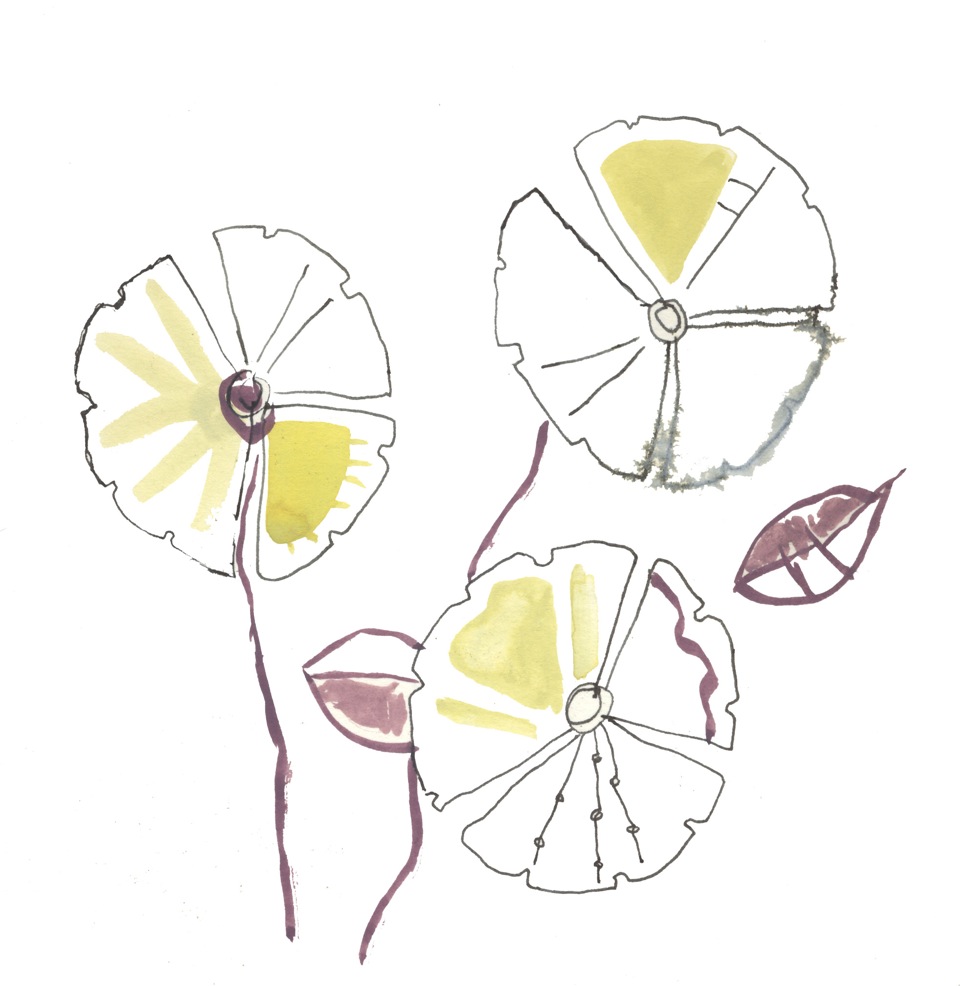 Yellow-flw.jpeg