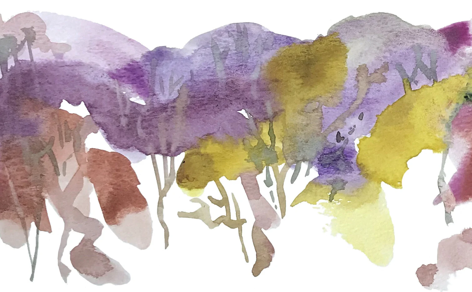 Forest autumn crop.jpg