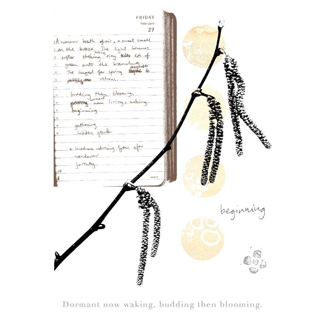 Spring-catkins.jpg