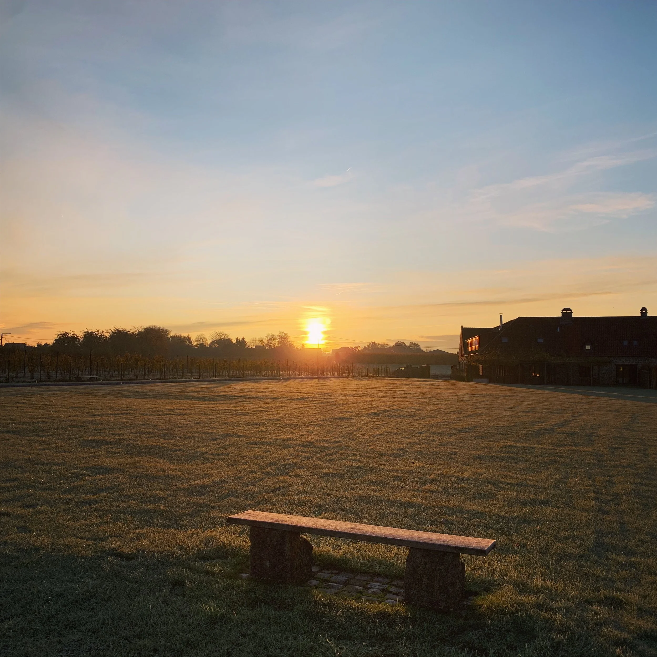 Gewoontes en routines - een vloek of een zegen?
