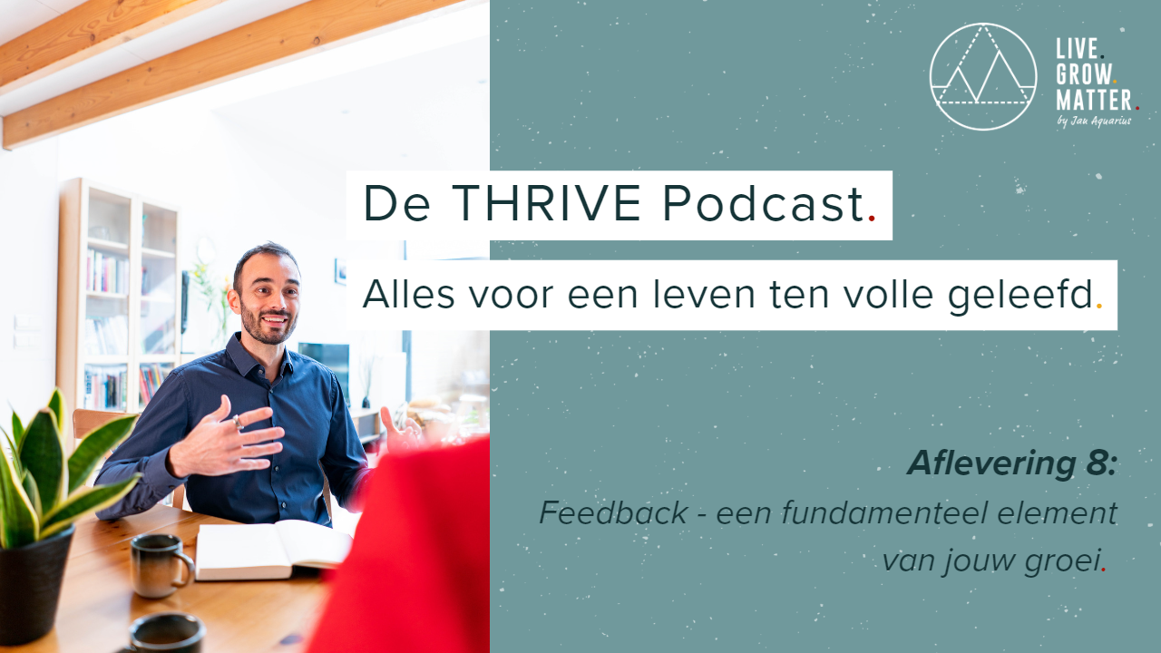 8. Feedback