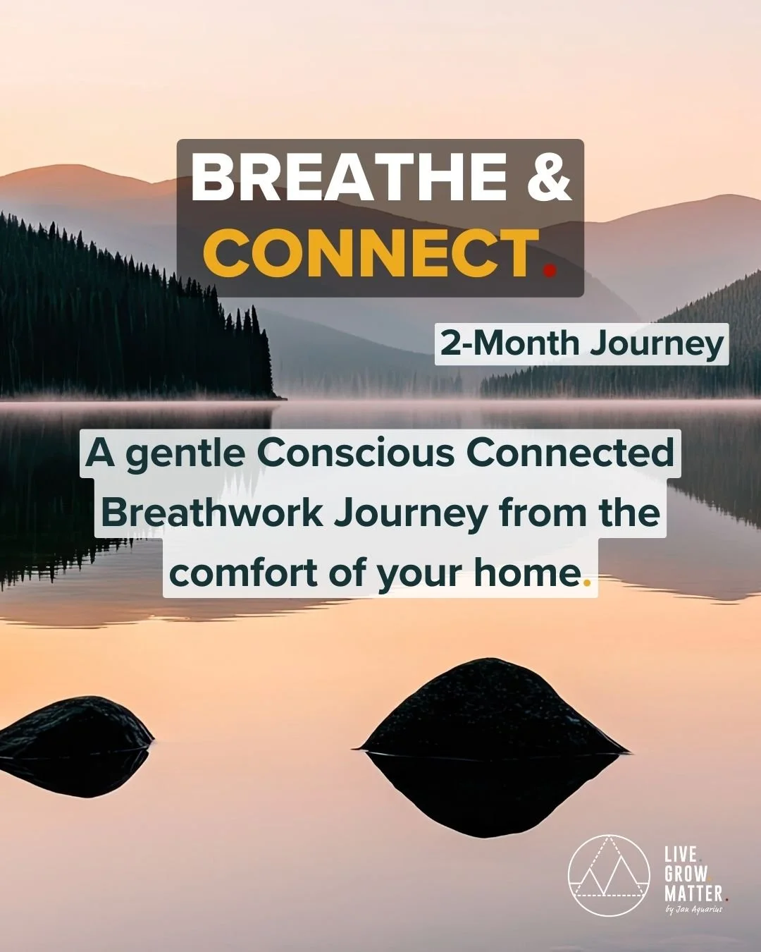 Breathe and Connect - A 2-month online breathwork journey
