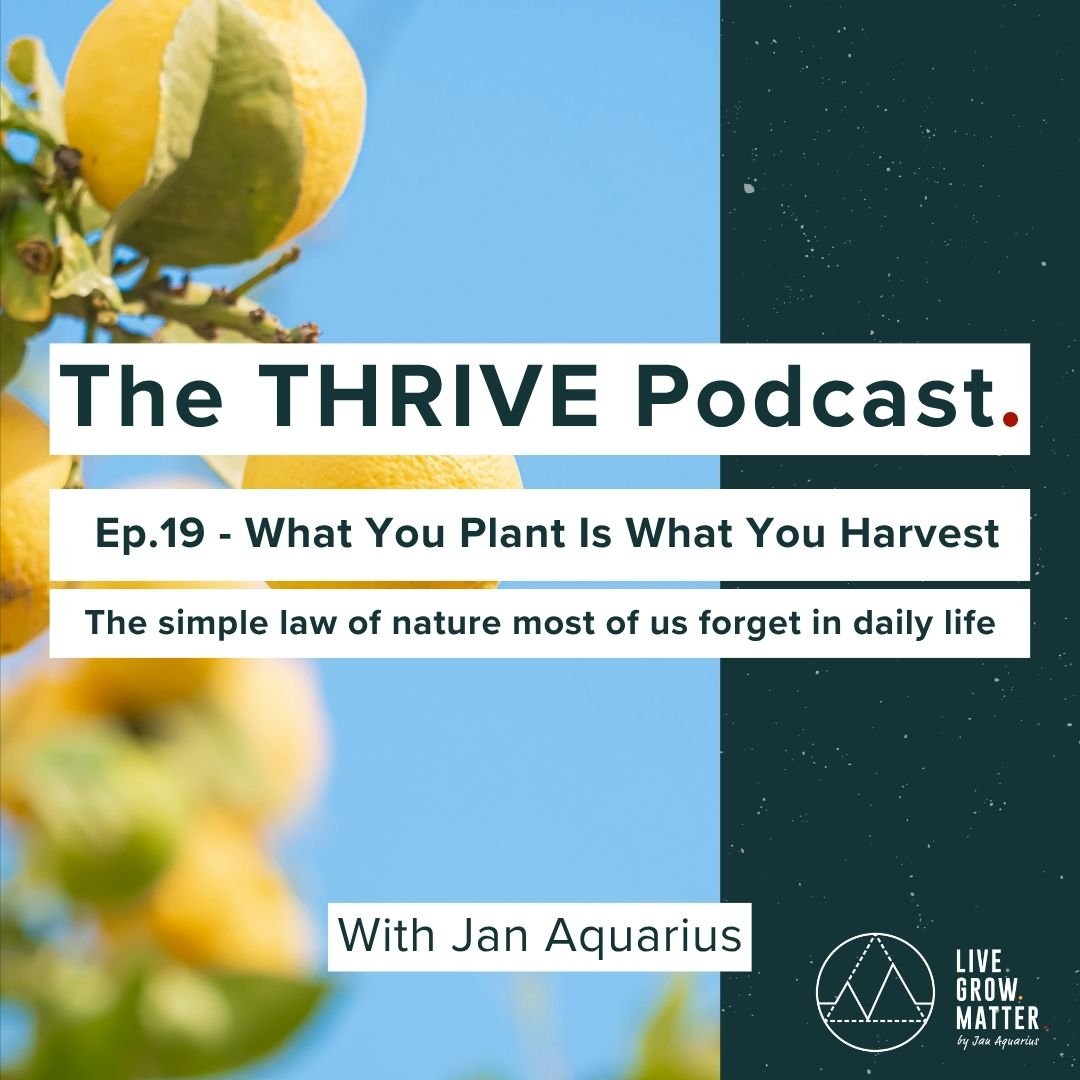 19. What You Plant Is What You Harvest