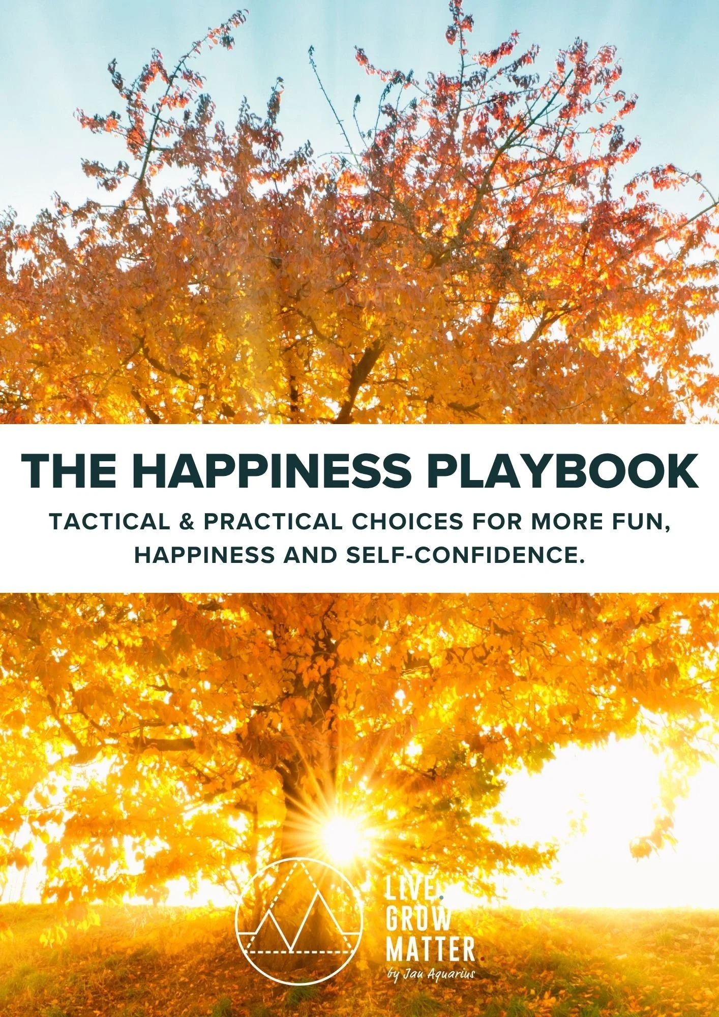Happiness Playbook  - Cover Page.jpg