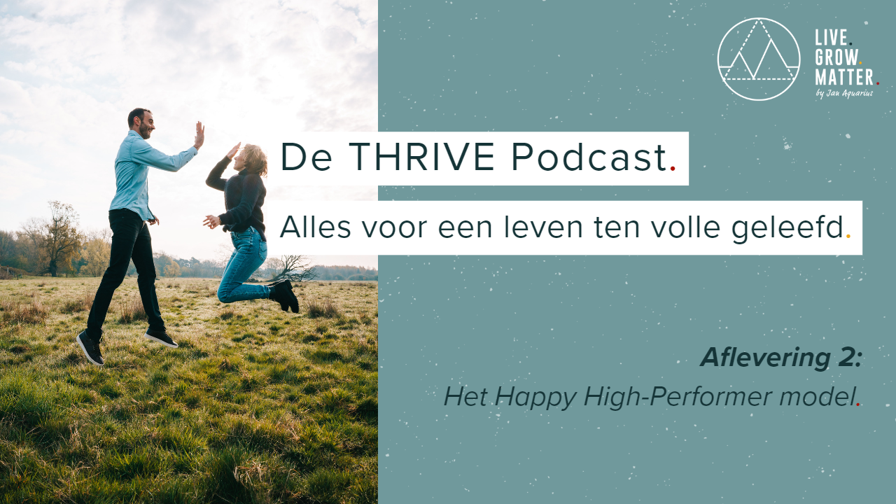 2. Het Happy High-Performer model
