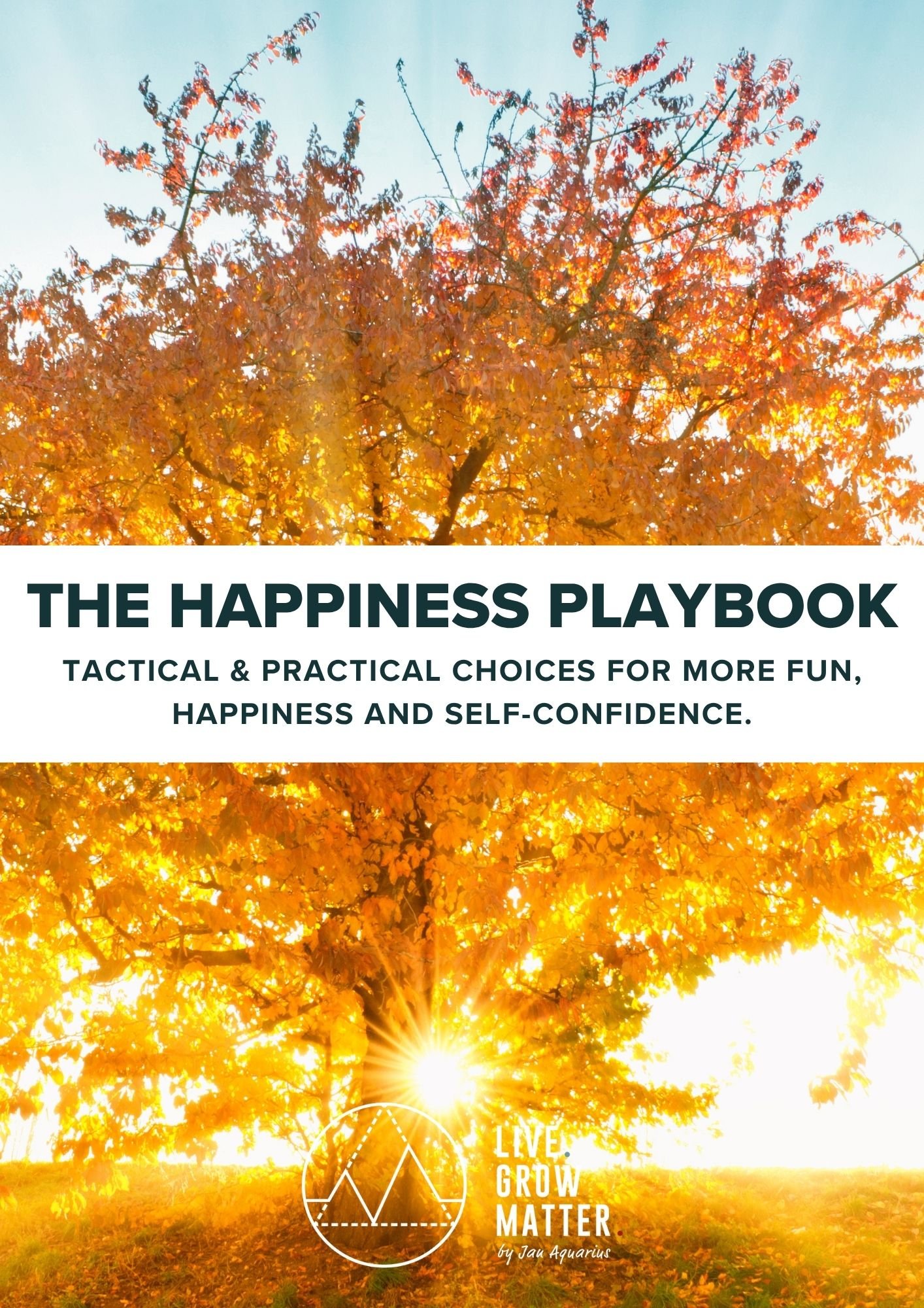 Happiness Playbook  - Cover Page.jpg