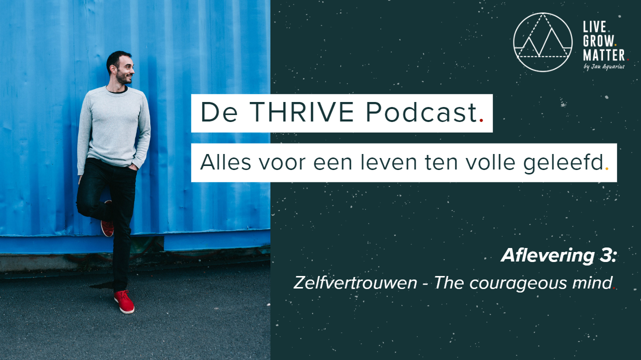 3. Zelfvertrouwen - The Courageous Mind I