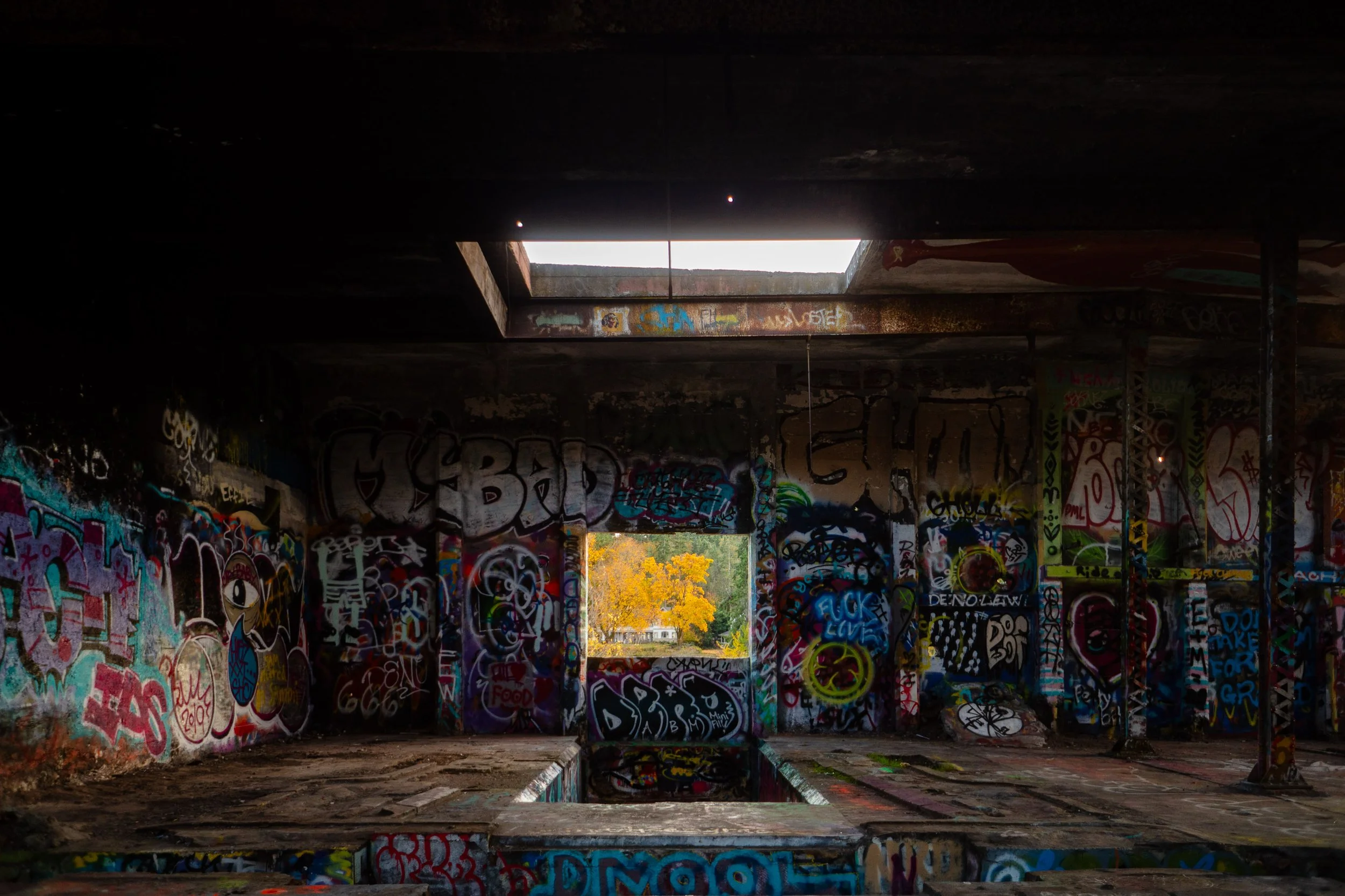 2019102x-Bainbridge-3.jpg