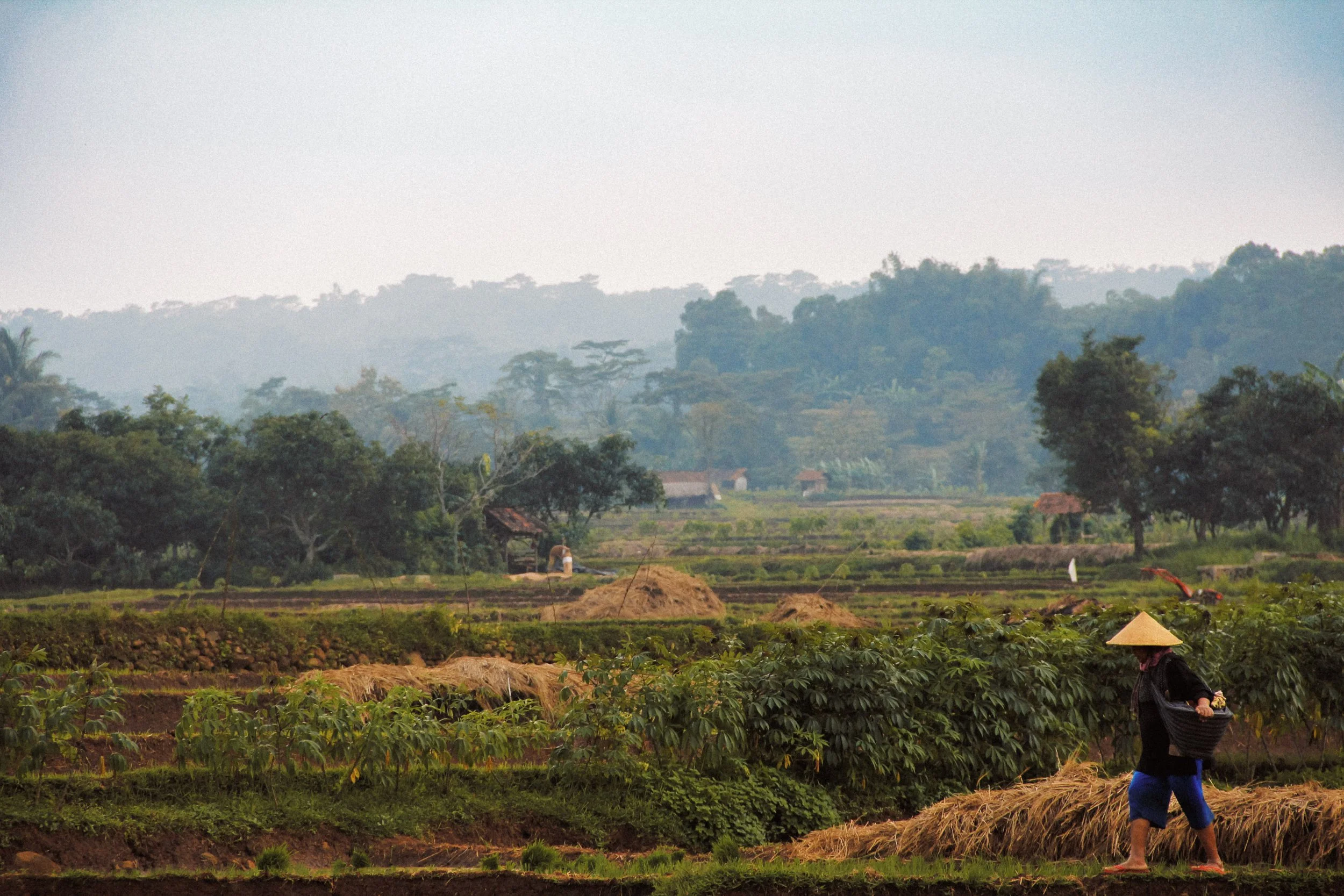 2011CirebonIndonesia-1.jpg