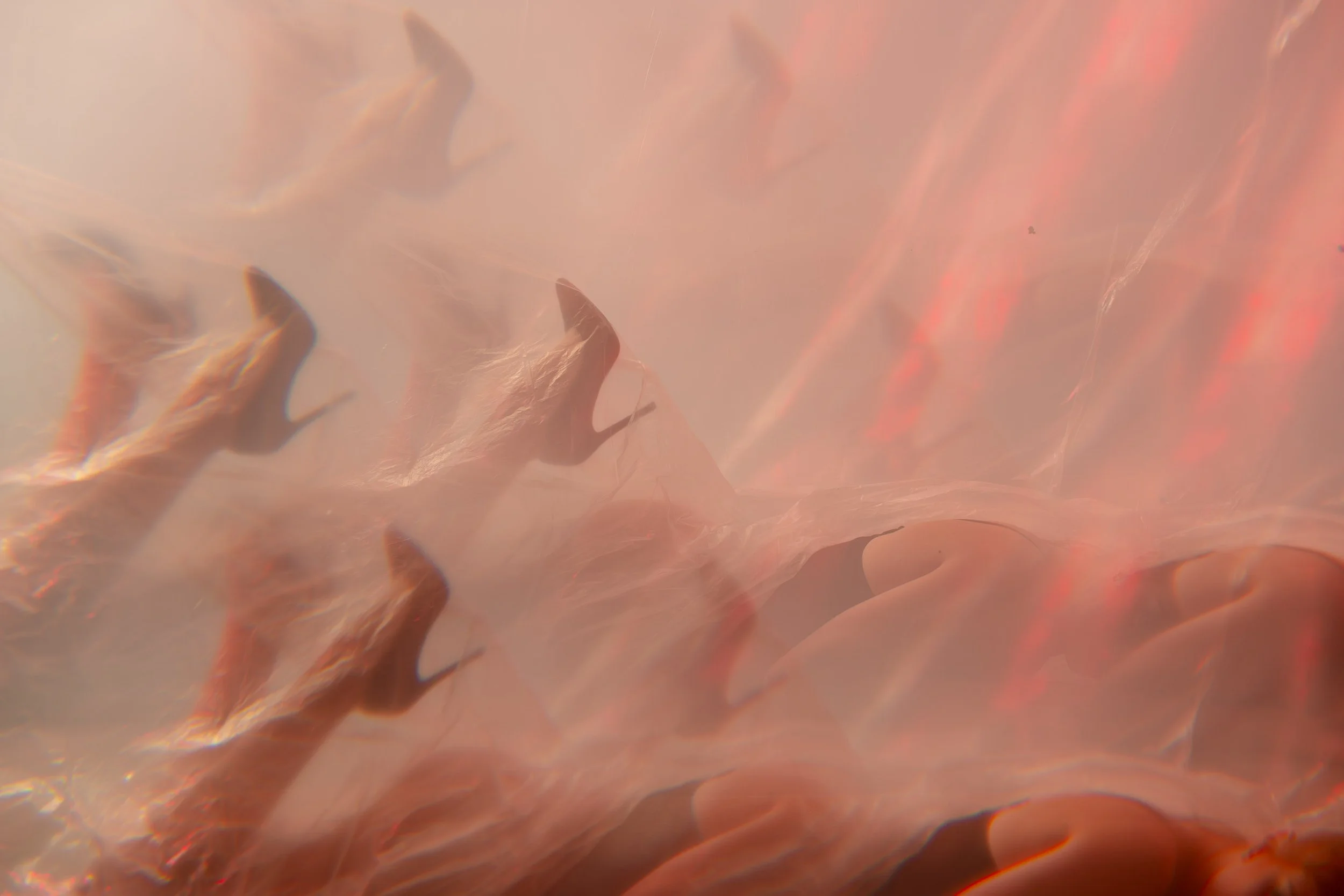 20260114-Nova-7.jpg