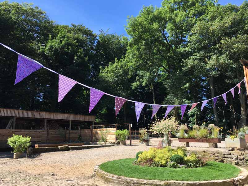 Outdoor Purple Bunting