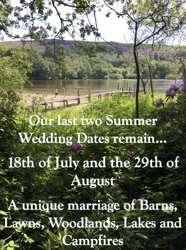 Summer Wedding Last Dates.jpg