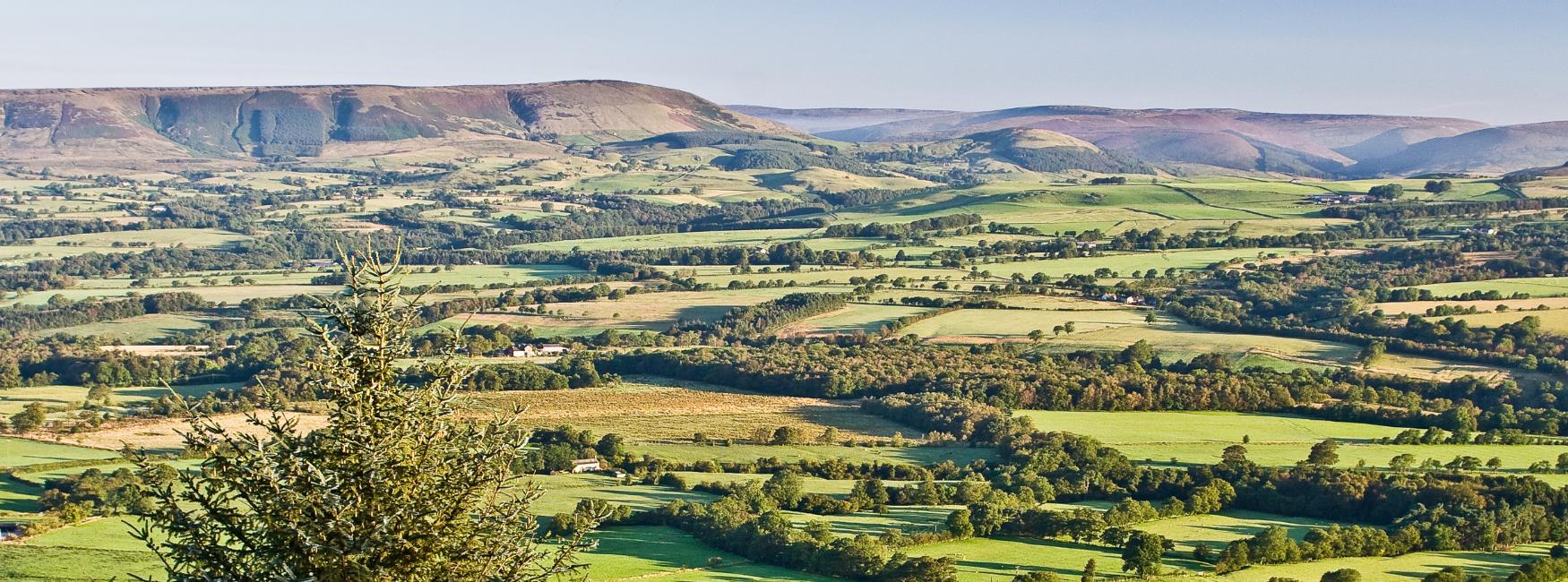 forest-of-bowland-1.jpeg