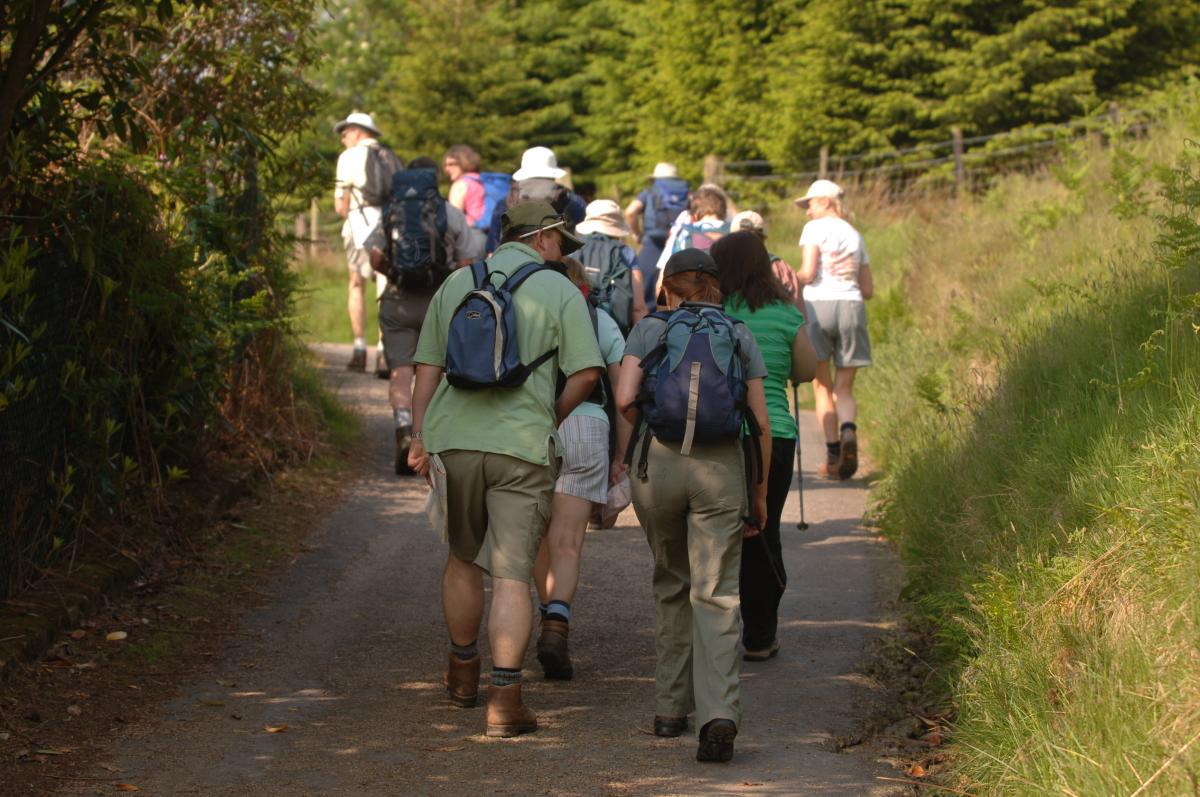 group_walks_bowland.jpeg