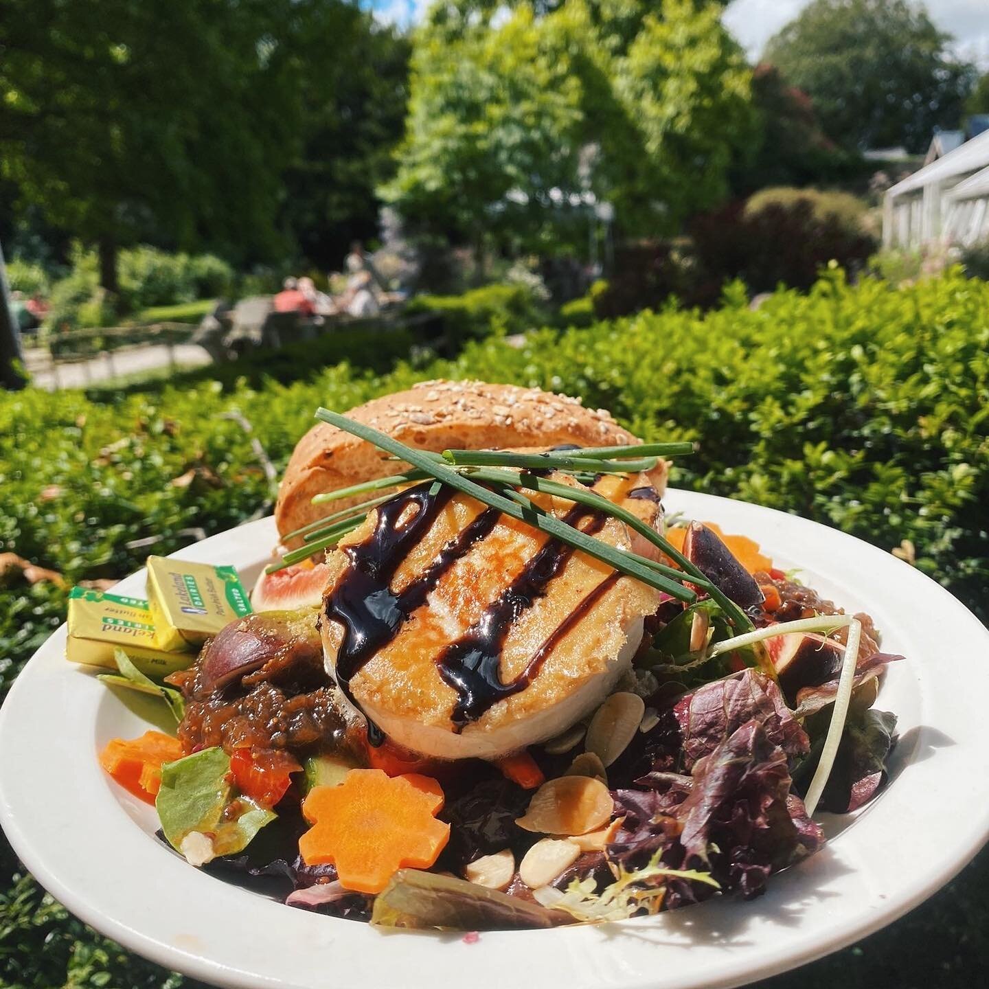 sᴘʀɪɴɢ ᴛɪᴍᴇ sᴀʟᴀᴅs.

The perfect lunch to enjoy in our gardens. Here&rsquo;s our Roast Fig &amp; Goat&rsquo;s Cheese Salad, served with mixed leaves, balsamic syrup, toasted almonds and chutney. Yum! 🥗☀️
.
.
.
.
.
#wyresdale #wyresdalepark #applesto
