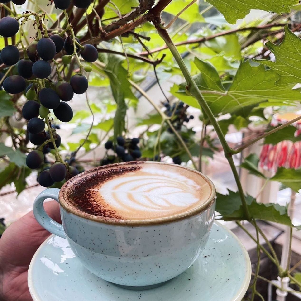 ᴄᴏғғᴇᴇ sᴛᴏᴘ. 

Whether you have just enjoyed a walk up to Nicky Nook or have ahead a leisurely stroll around our grounds and artisan retailers, we are the perfect place to stop for a delicious cup of coffee &amp; even a sweet treat! 
.
.
.
.
.
#wyres