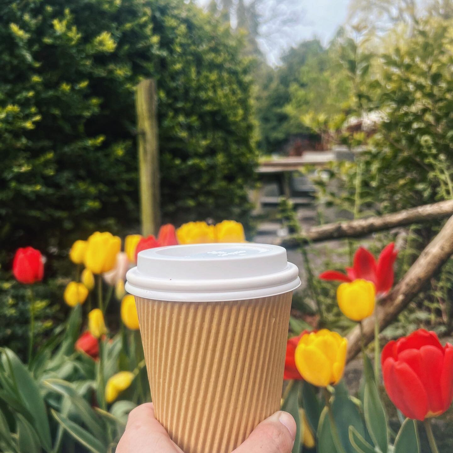 ᴍᴏʀɴɪɴɢ ᴡᴀʟᴋ &amp; ᴀ sᴛʀᴏʟʟ. 

Nothing beats a fresh cup of coffee and a walk in the fresh air. If you wander around our gardens and retailers you will notice lots of pretty blooms popping up all around our estate. 
.
.
.
.
.
#wyresdale #wyresdalepar