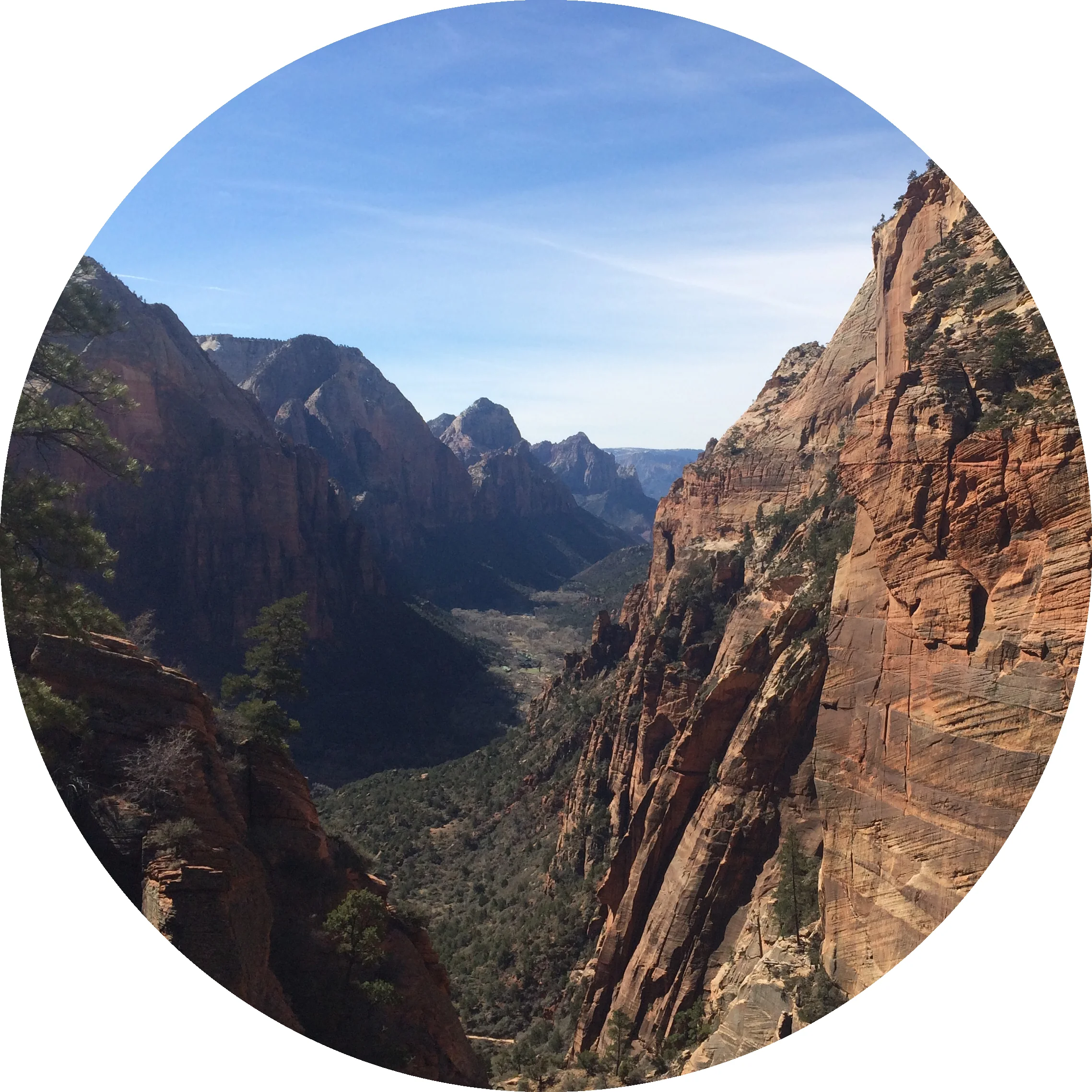 View from Angel’s Landing, Zion National Park, March 2016