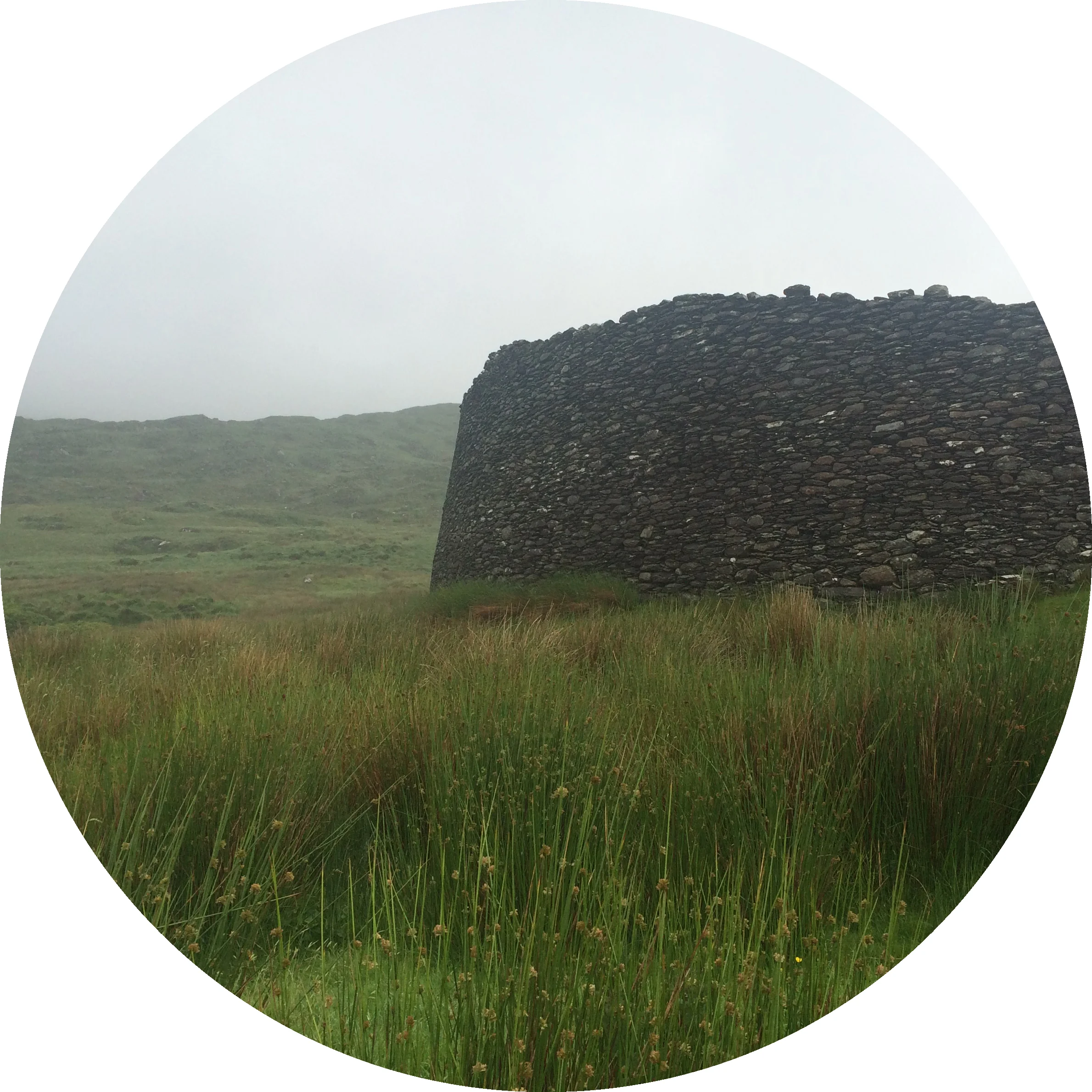 Kerry, June 2016
