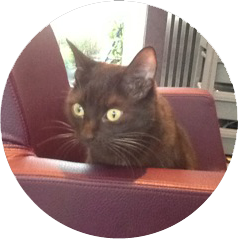 Button.png