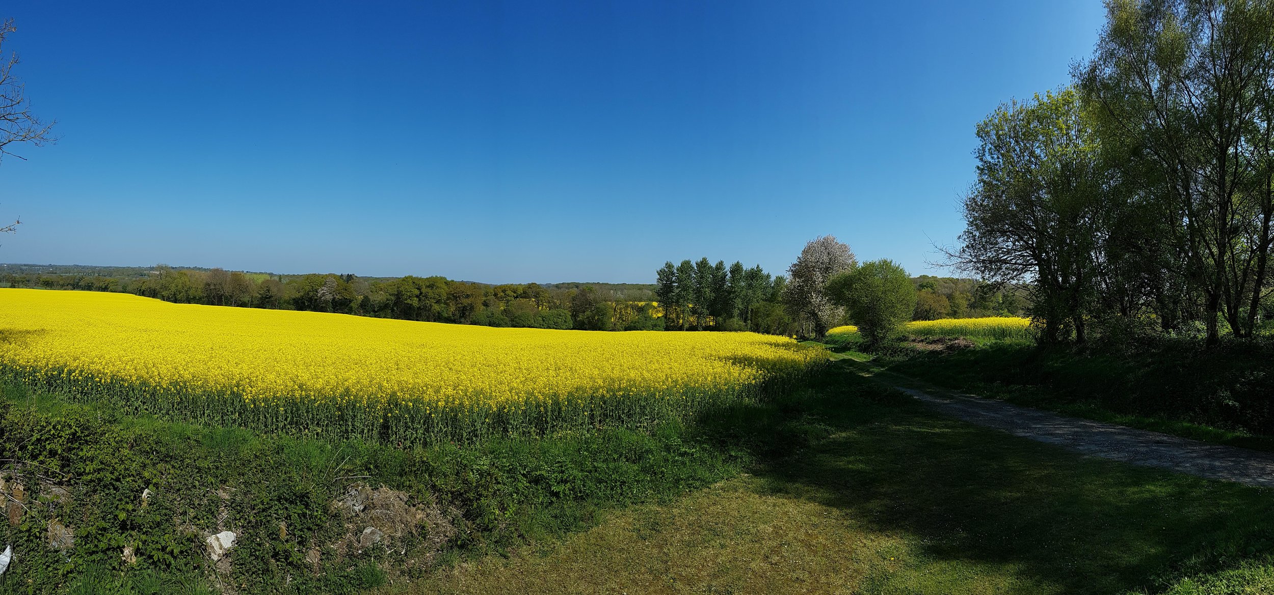 view from B&B .1r.jpg