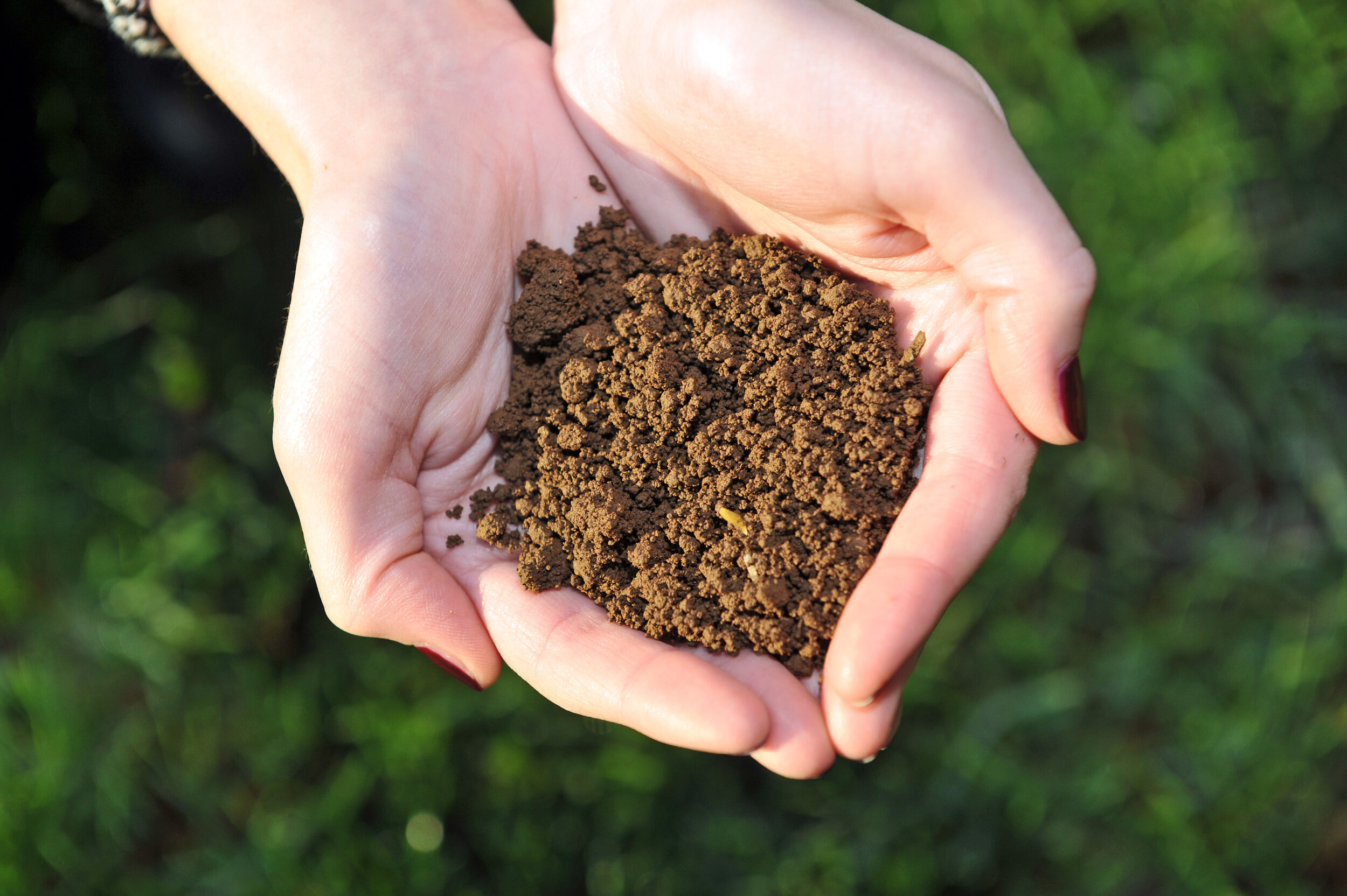 Soil hands (c) James Hutton Institute.jpg