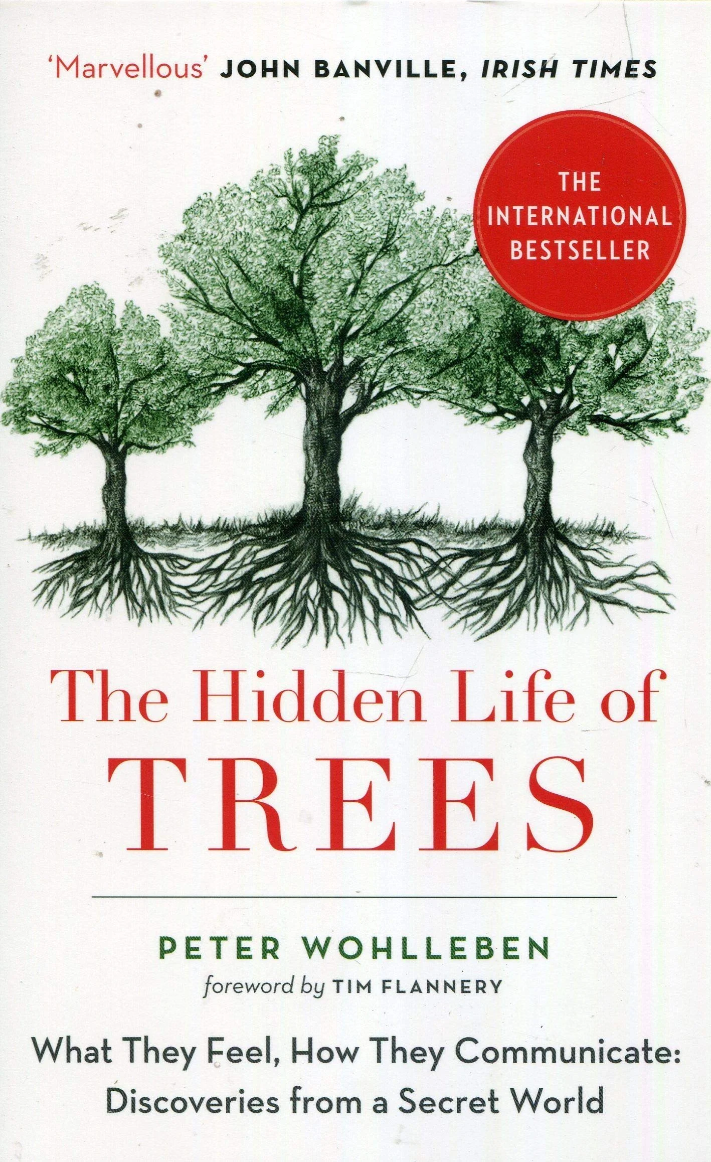 The Hidden Life of Trees by Peter Wohlleben