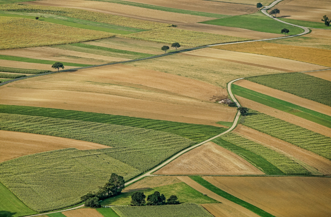 Agriculture and the Environment
