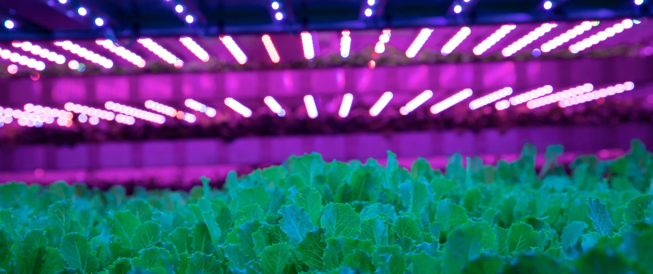 Farming for Climate Action - What are we waiting for? 