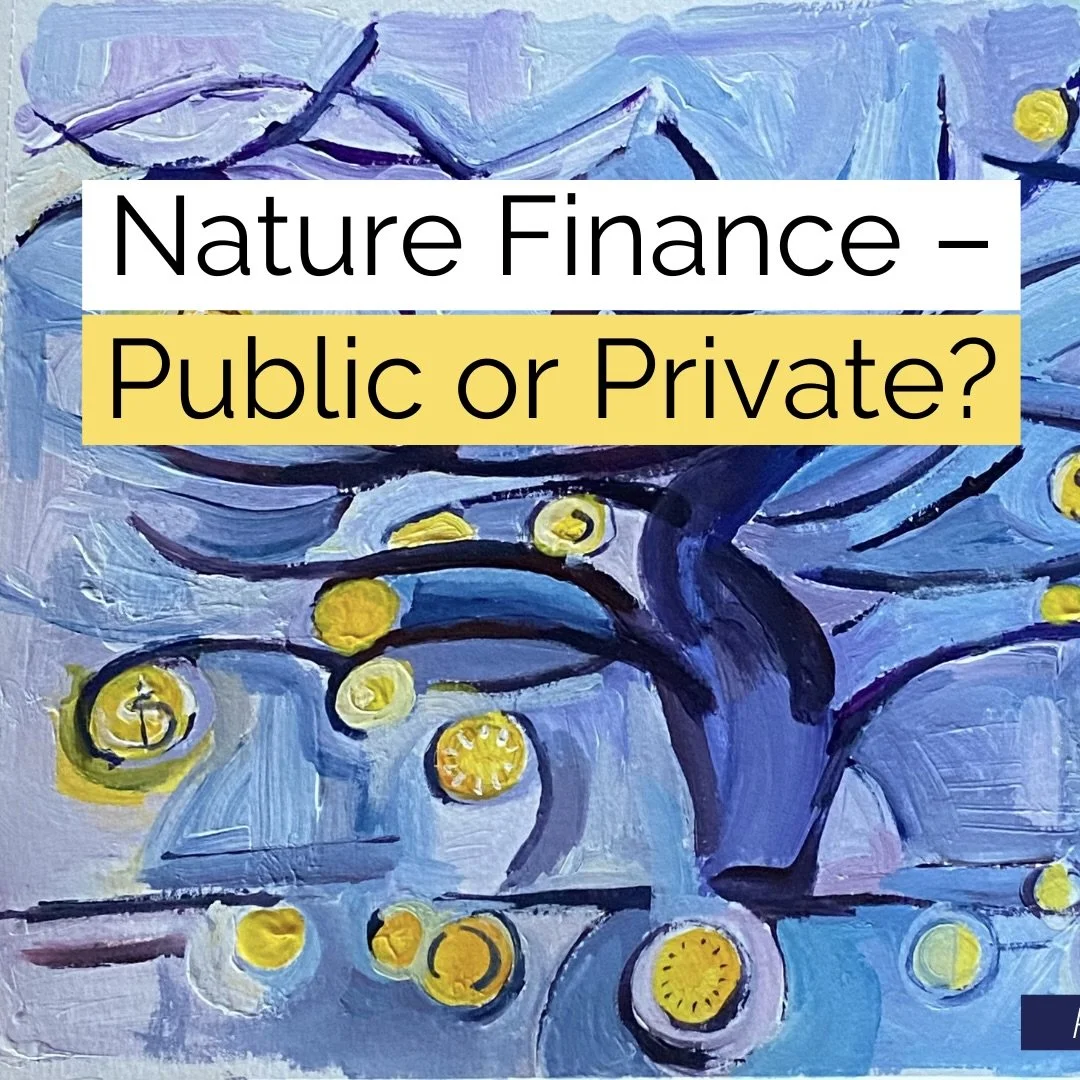 Nature Finance – Public or Private?
