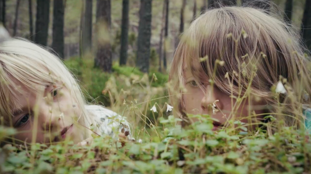 Into the Wild