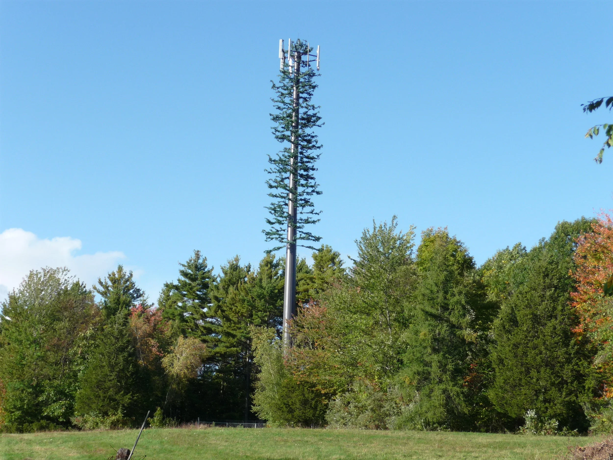 Cell_phone_tower_disguised_2008.jpg