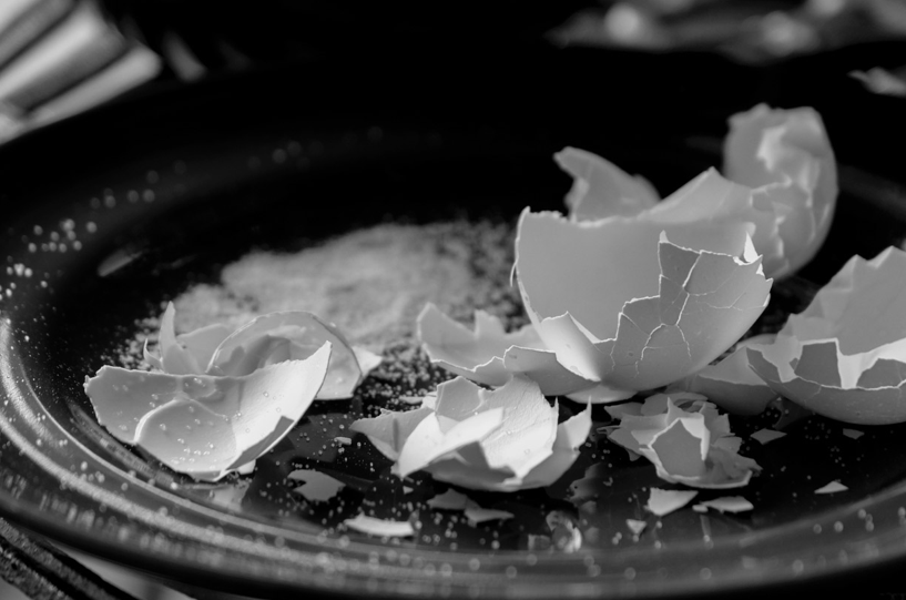 Eggs, Palm Springs, 2015