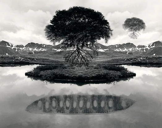 "Floating Tree" 1969 by Jerry Uelsmann