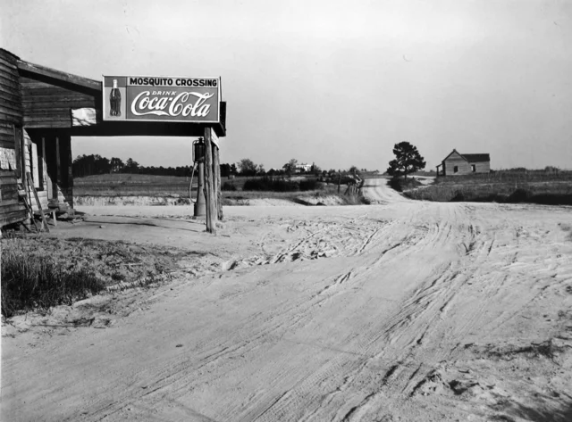 Mosquito Crossing, Georgia, 1939 (Marion Post Wolcott)