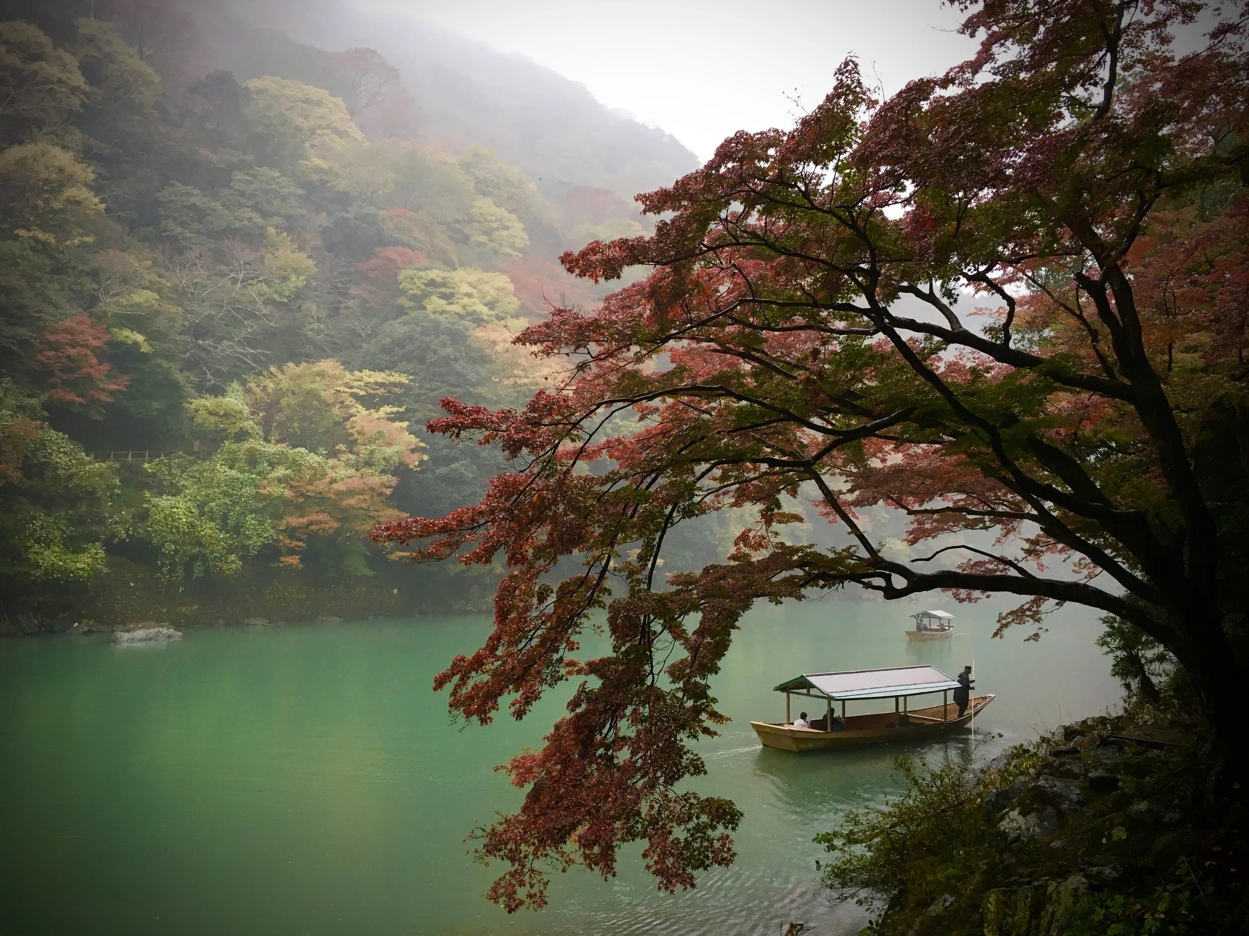 Sam Teicher, Katsura River near Arashiyama Bamboo Forest, Kyoto, 2017