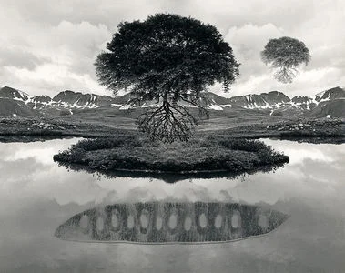 Jerry Uelsmann, "Floating Tree" 1969