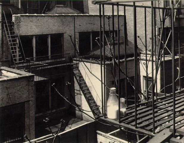 Edward Steichen, 1915