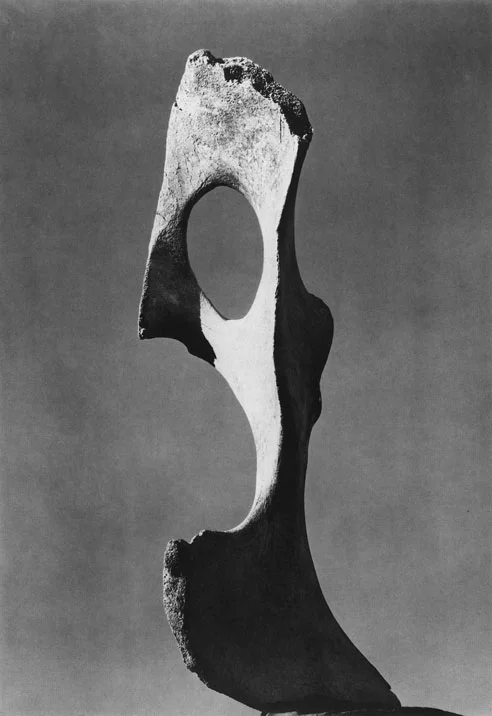 “Bone and Sky” (1932) Willard Van Dyke—a member of Group f64 along with Weston, Adams and Cunningham.. Perhaps one of the originals in this genre.