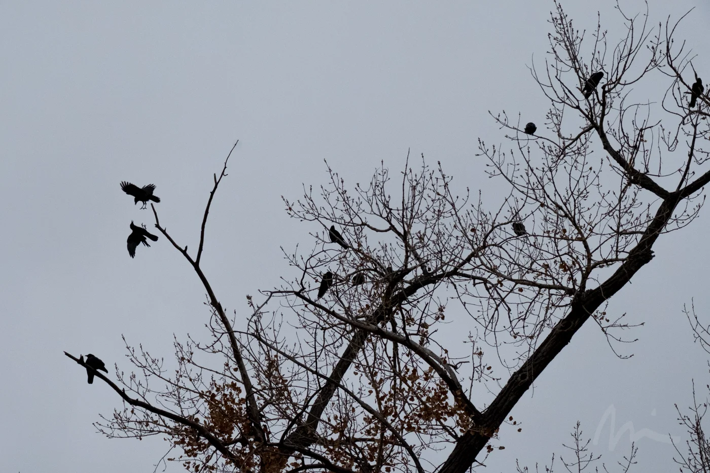 DSCF0399-2.jpg