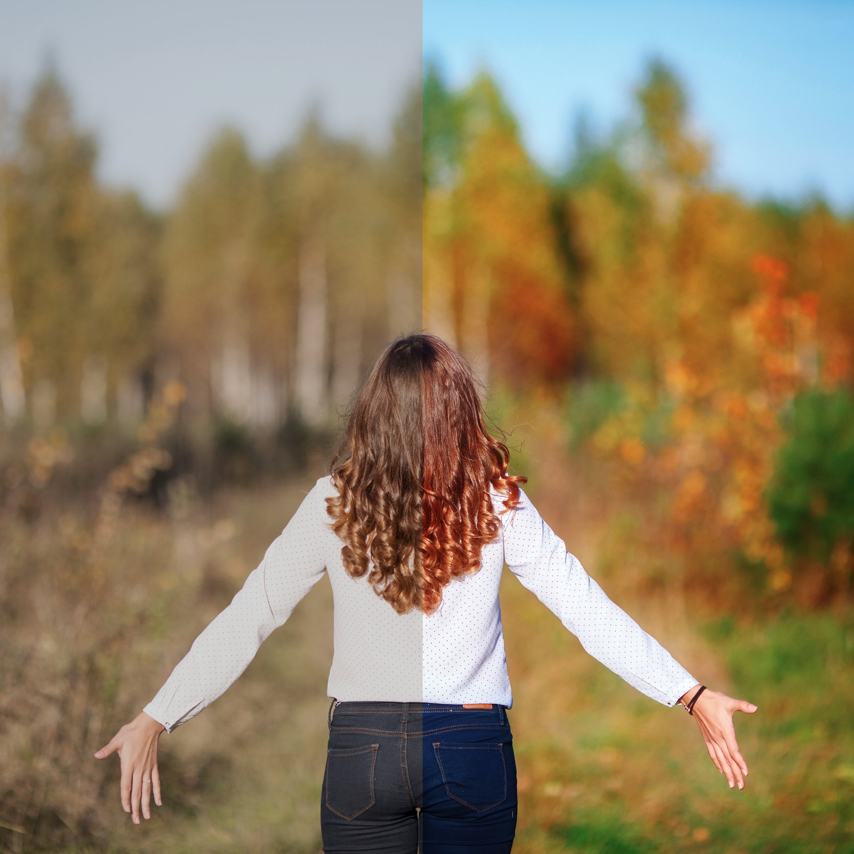 shutterstock_508616998.jpg